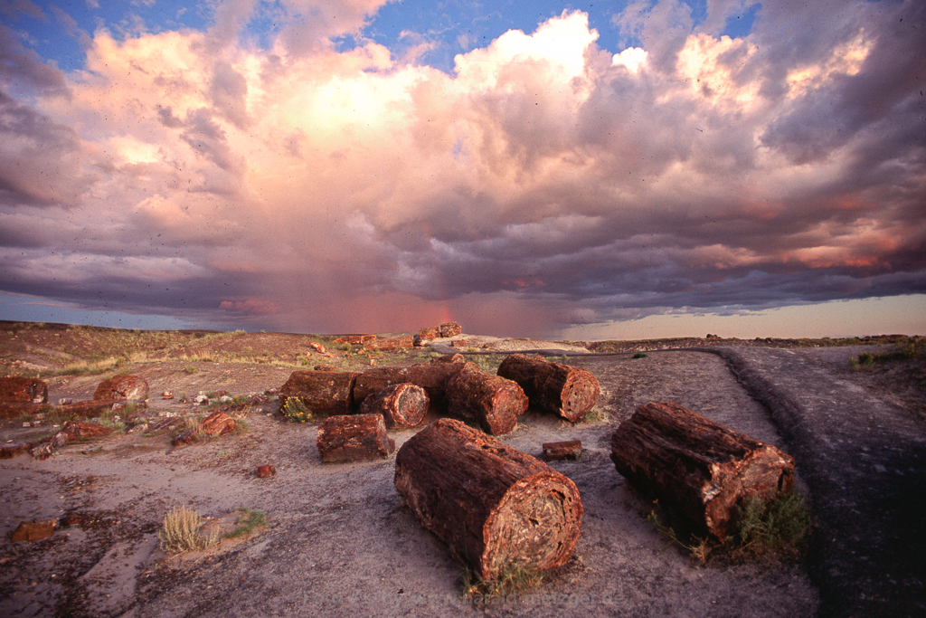 versteinerte Bäume, Petrified Forest, Arizona, USA, Wolken, Regenbogen